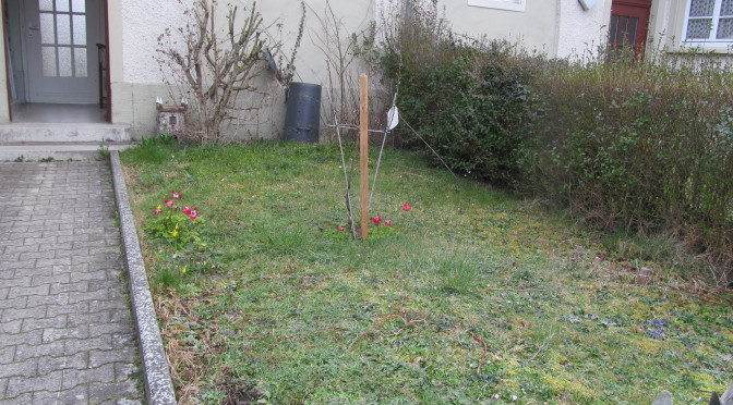 Frühling im Garten